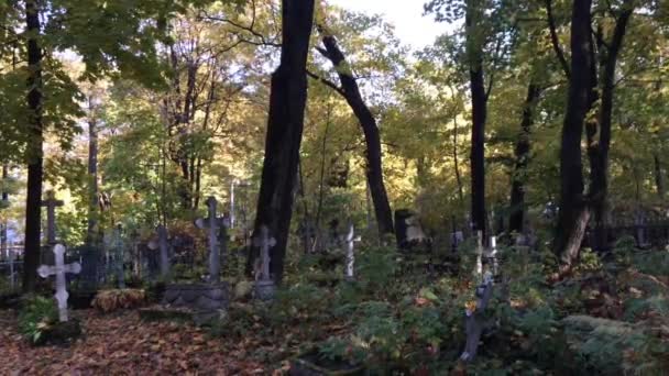 Oude grafstenen op kerkhof — Stockvideo