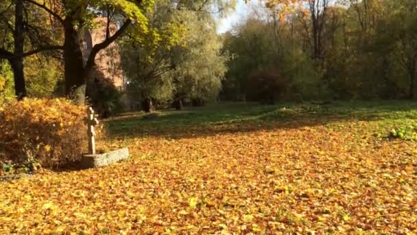 Starych nagrobków na cmentarzu — Wideo stockowe