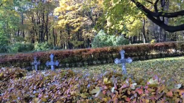 Régi sírkövek a temetőben — Stock videók