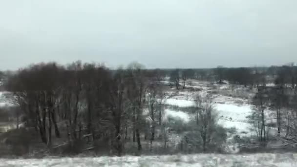 Uitzicht vanaf de trein venster — Stockvideo