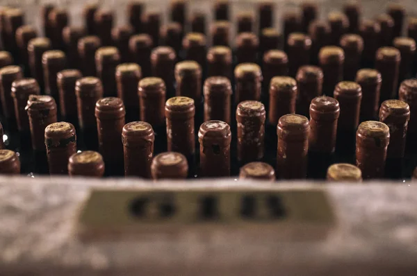 Cracovia, 2018 'de birkaç şarap mantarı.