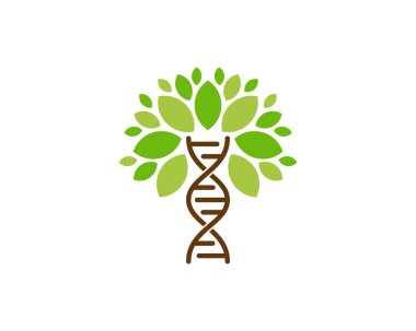 DNA ağaç kutsal kişilerin resmi Logo tasarım öğesi 