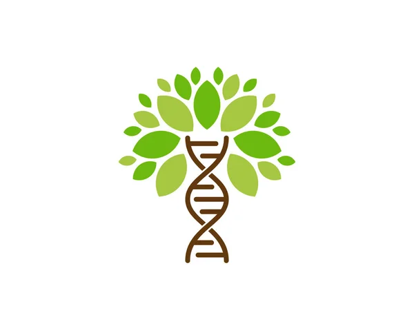 Dna Tree Ikonen Logo Designelement — Stock vektor