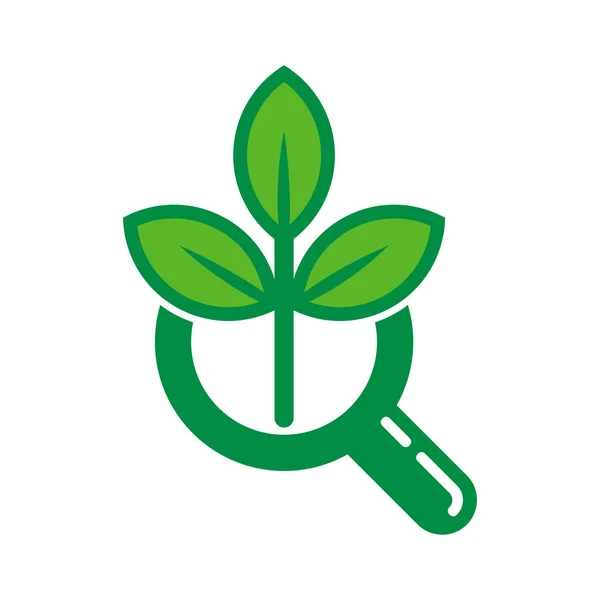 Pictogram Embleemontwerp Eco Zoeken — Stockvector