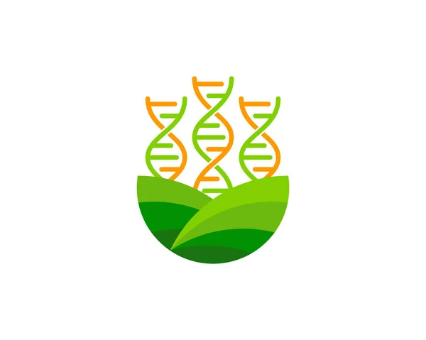 Farma Dna Logo Ikonu Design — Stockový vektor