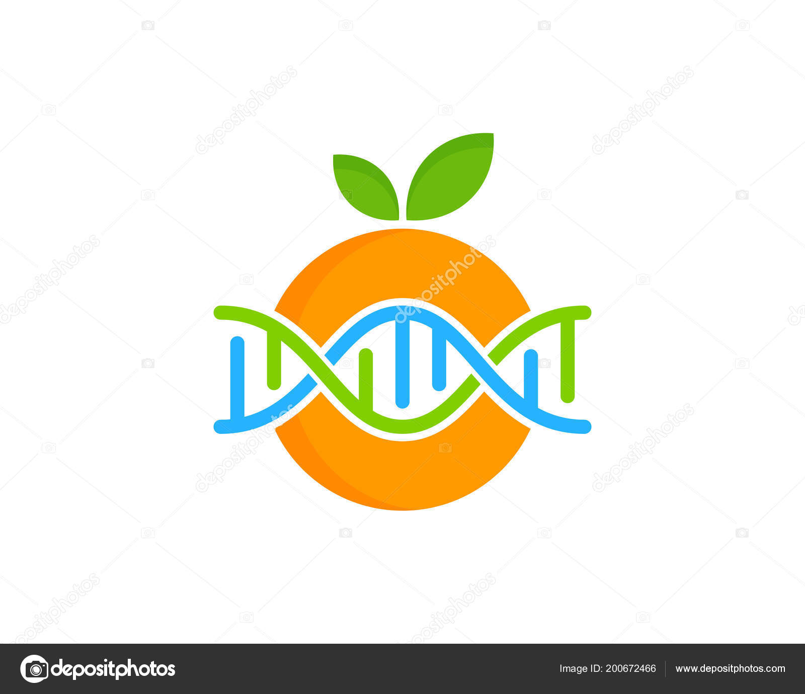 フルーツ Dna アイコン デザイン ストックベクター C Putracetol