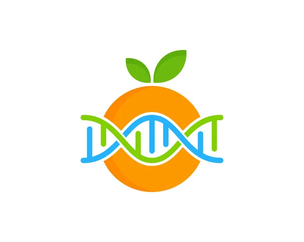 Ovoce Dna Logo Ikonu Design — Stockový vektor