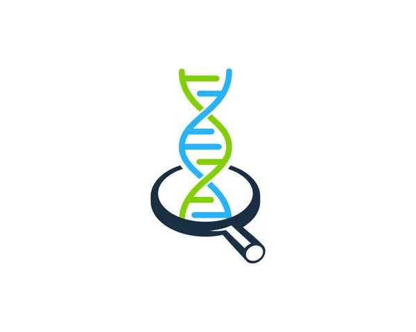 Diseño Del Icono Del Logotipo Looking Dna — Archivo Imágenes Vectoriales