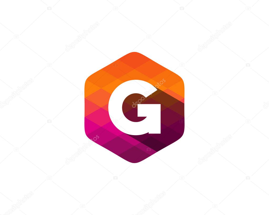 Hexagon Pixel Letter g  Shadow Icon Logo Design Element 