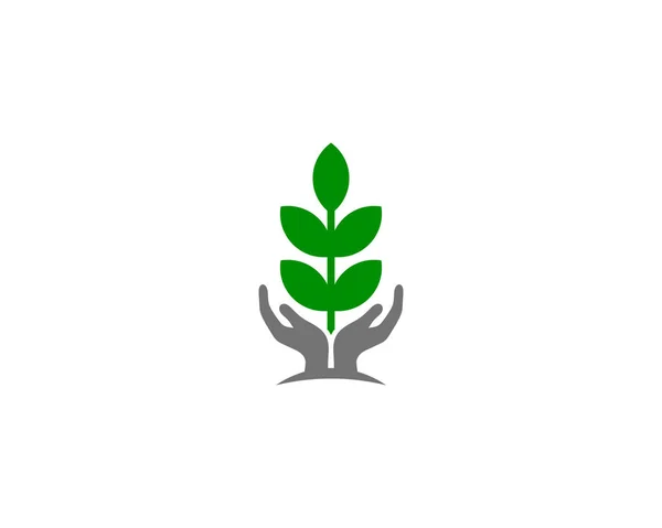 Design Ícone Logotipo Cuidados Natureza — Vetor de Stock