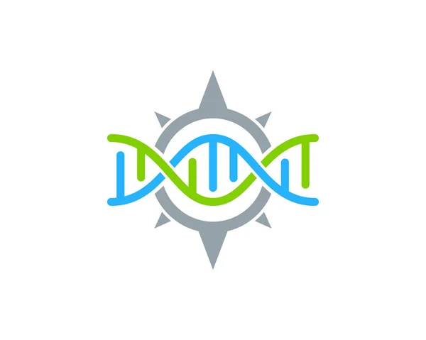 Diseño Del Icono Del Logotipo Navegación Dna — Vector de stock