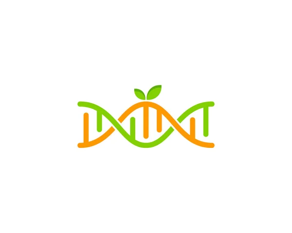Φρούτα Dna Λογότυπο Εικονίδιο Σχεδιασμός — Διανυσματικό Αρχείο