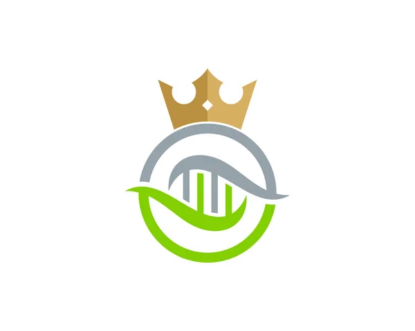 Corona Dna Logo Diseño Iconos — Vector de stock