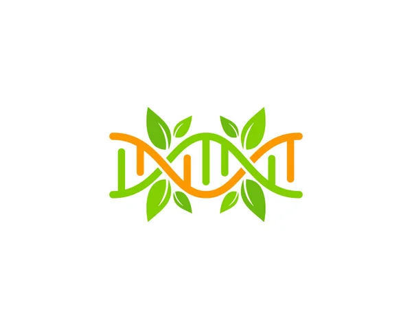 Φύλλο Dna Λογότυπο Εικονίδιο Σχεδιασμός — Διανυσματικό Αρχείο