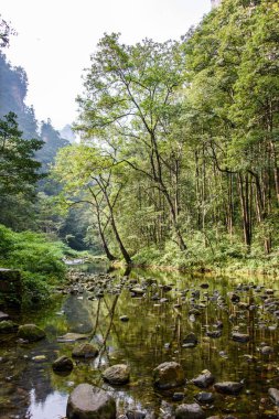 Wulingyuan manzara alan, Zhangjiajie, Hunan, bir dünya mirası Site Unesco, yakın