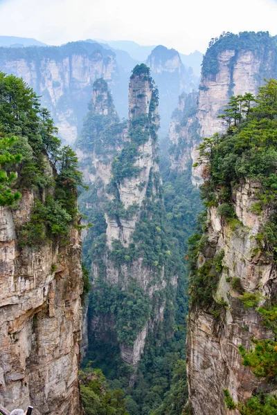 Vrcholy Zhangjiajie National Forest Který Inspiroval Scénografie Avatar Hallelujiah Hor — Stock fotografie