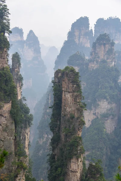 Topparna Zhangjiajie National Forest Som Inspirerade Scenografin Avatar Hallelujiah Berg Royaltyfria Stockbilder