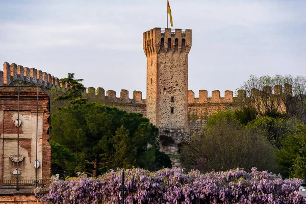 Castello Carrarese a Este — Foto Stock