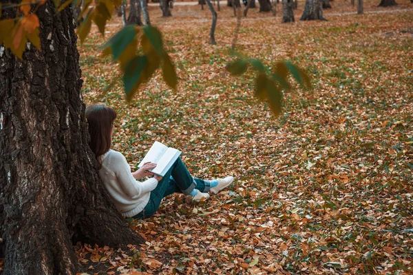 Piękna młoda brunetka siedzi na fallen jesieni liści w parku, czytanie książki — Zdjęcie stockowe