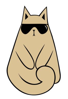 Kedi beyaz arka plan üzerinde güneş gözlüğü