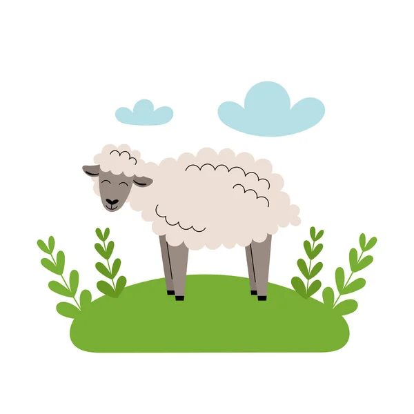 Linda oveja gris se encuentra en el prado. Animales de granja de dibujos animados, agricultura, rústico. Ilustración plana vectorial simple sobre fondo blanco con nubes azules y hierba verde . — Vector de stock
