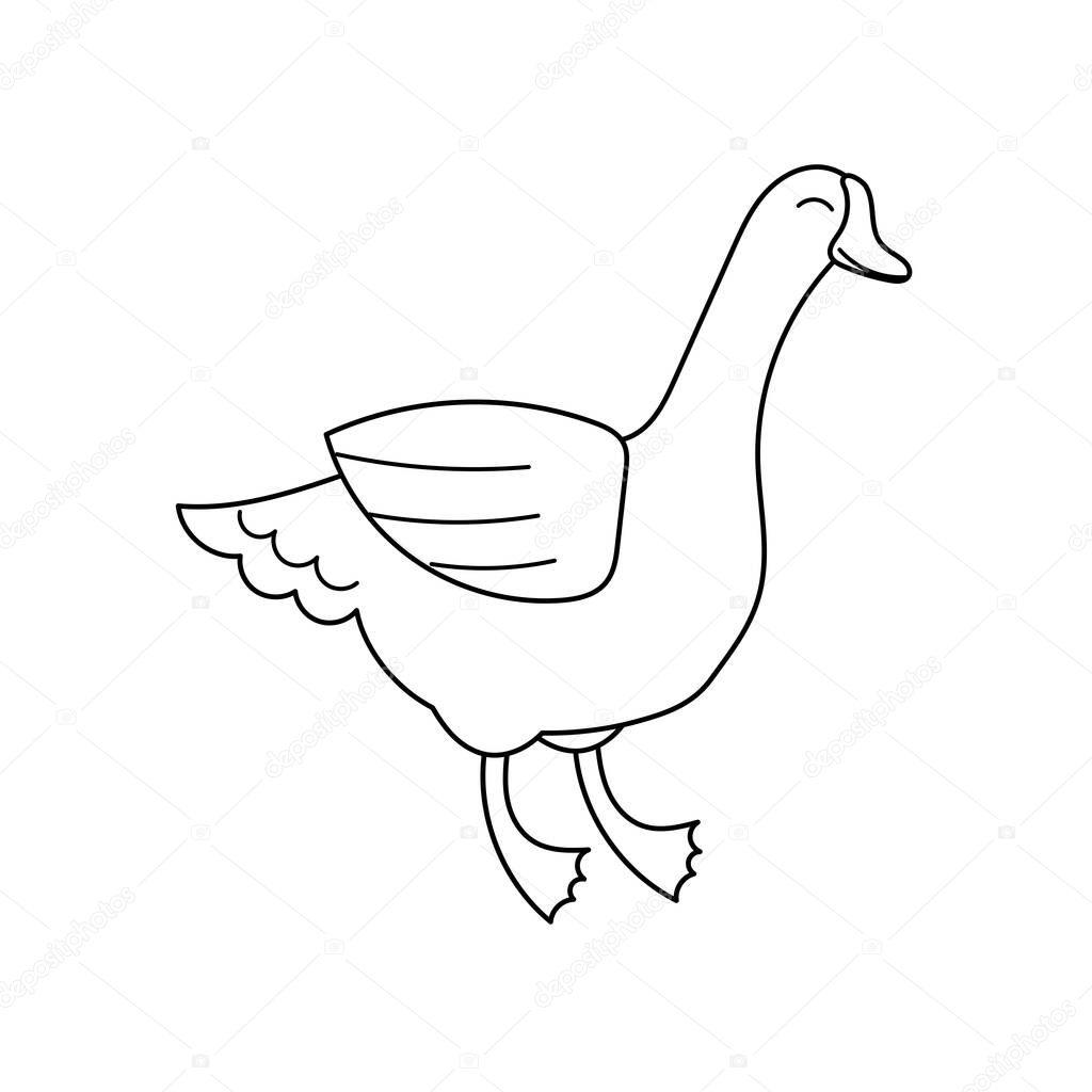 Cute contour doodle goose. Goose liver, foie gras. Farm animals and birds.Illustration for childrens coloring book. Vector isolated on white background