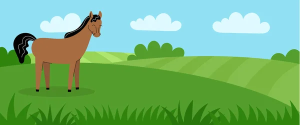 緑の牧草地でかわいい馬 夏の田園風景 フィールド 農場動物 ウェブサイトのバナー 平漫画イラスト — ストックベクタ