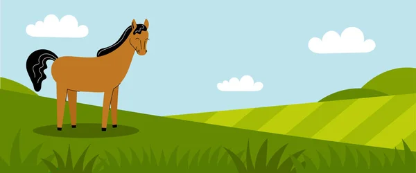 緑の牧草地に可愛い茶色の馬が立っています 農場の動物だ 夏のパノラマのフィールドです テキストの場所 フラット漫画のカラーイラスト — ストックベクタ