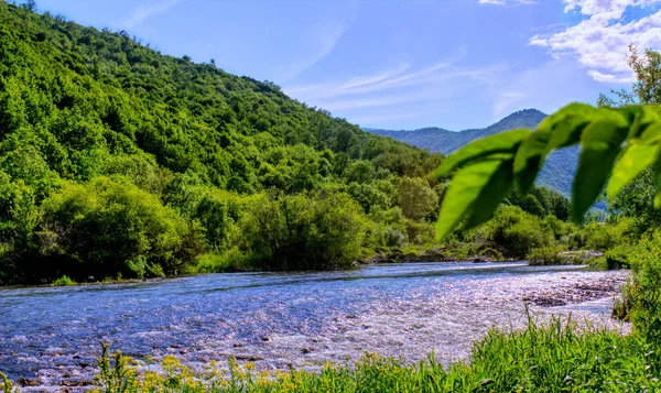 Nehrin kıyısında güzel karnaval