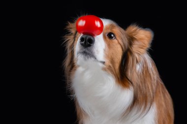 Kenar kömür ocağı yapan