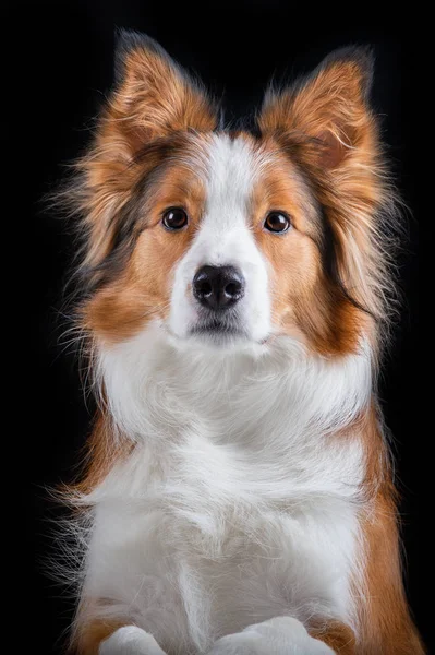 Kenar kömür ocağı yapan