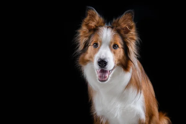 Kenar kömür ocağı yapan