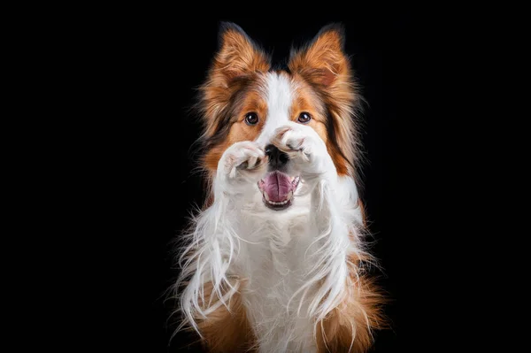 Kenar kömür ocağı yapan