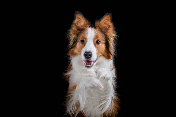 Kenar kömür ocağı yapan