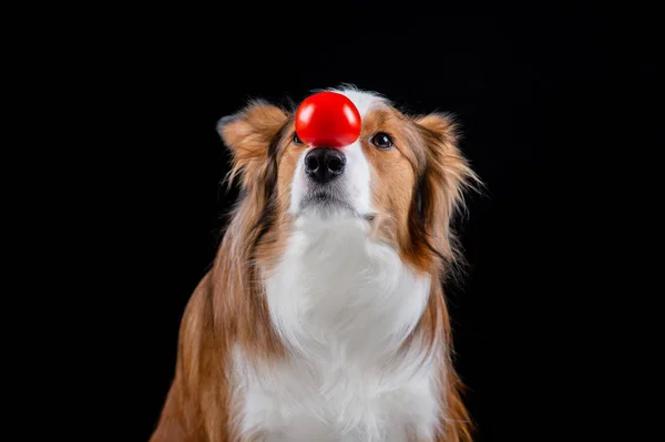 Kenar kömür ocağı yapan