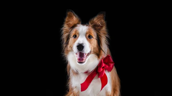 Kenar kömür ocağı yapan