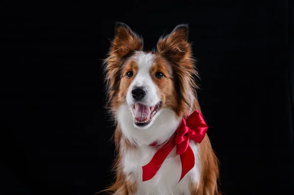 Kenar kömür ocağı yapan