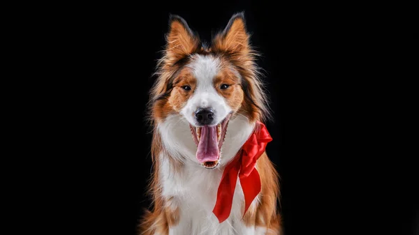 Kenar kömür ocağı yapan