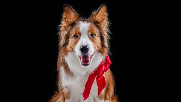 Kenar kömür ocağı yapan