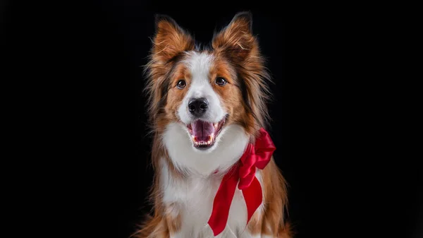 Kenar kömür ocağı yapan