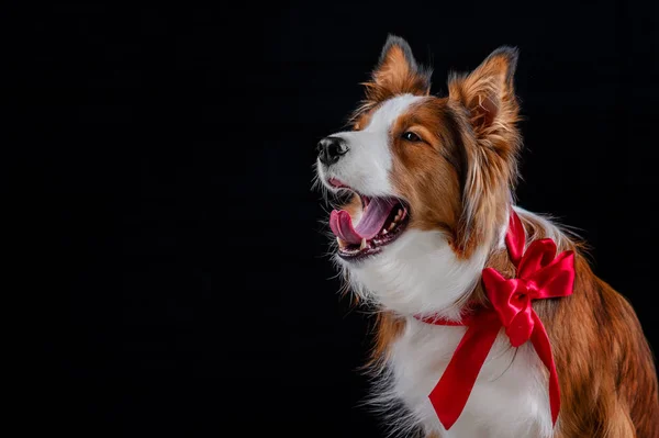 Kenar kömür ocağı yapan