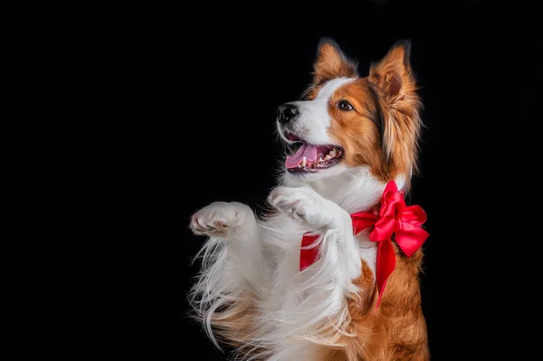 Kenar kömür ocağı yapan