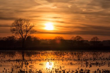 Güzel gökyüzü günbatımı. Kırsal manzara.