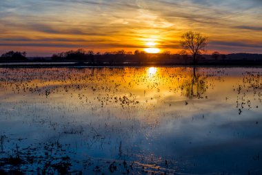 Güzel gökyüzü günbatımı. Kırsal manzara
