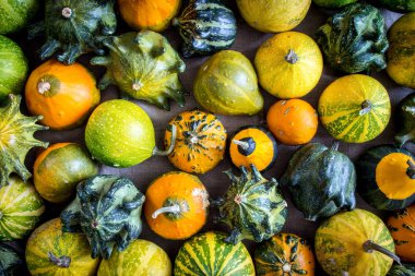 Kabaklar doku - sonbahar dekoratif arka plan.