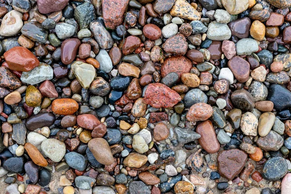 Красочные Морские Камни Использования Качестве Фона — стоковое фото
