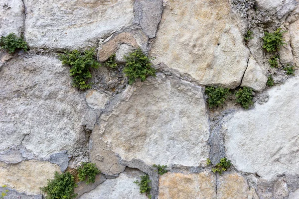 Taş Duvar Bir Arka Plan Olarak Kullanmak Için — Stok fotoğraf