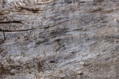 Doğal desenli eski ahşap doku..