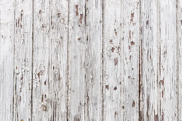 Struttura Legno Bianco Con Motivi Naturali Sfondo — Foto Stock