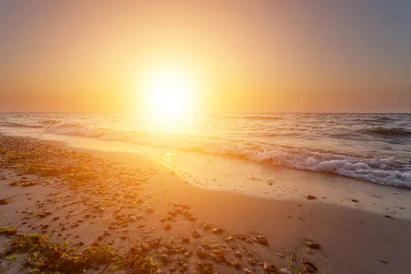 Deniz kenarında güzel gündoğumu